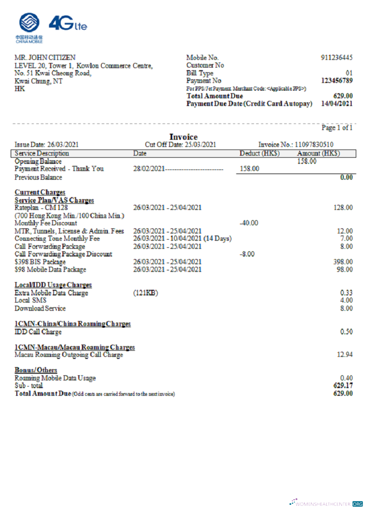 Download China Mobile Limited payment invoice Photoshop template